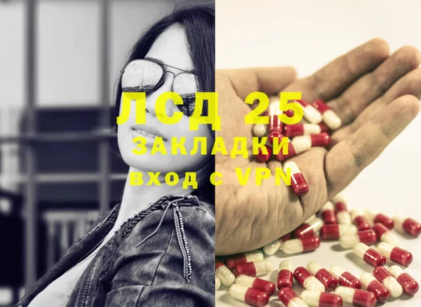 спиды Алзамай